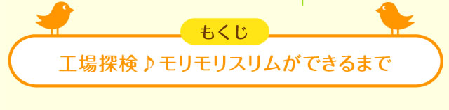 工場探検♪モリモリスリムができるまで