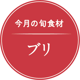今月の旬の食材紹介 ブリ