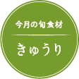 今月の旬の食材紹介 きゅうり