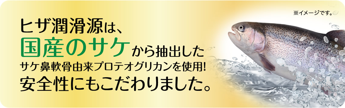 ヒザ潤滑源は、国産のサケから抽出したサケ鼻軟骨由来プロテオグリカンを使用！安全性にもこだわりました。