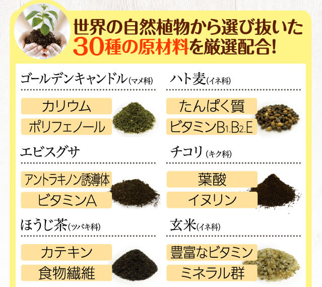 世界の自然植物から選びぬいた30種の原材料を厳選配合。