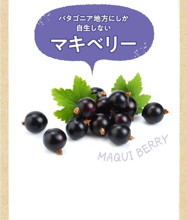 マキベリー