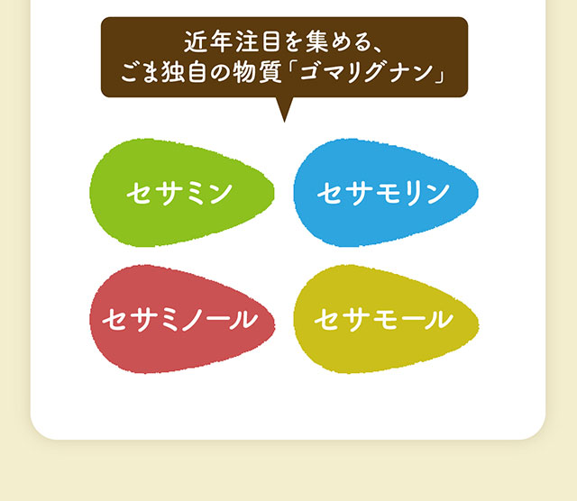 ごまのみに含まれるとされる「ゴマリグナン」など注目成分も含有！