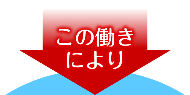 この働きにより