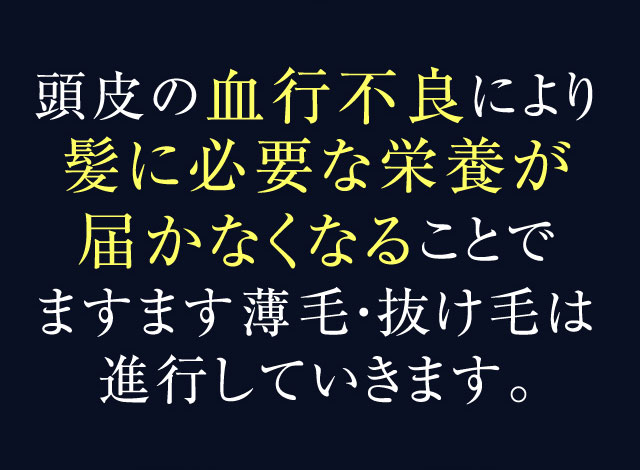 頭皮の血行不良により髪に必要な栄養が届かなくなることでますます薄毛・抜け毛は進行していきます。