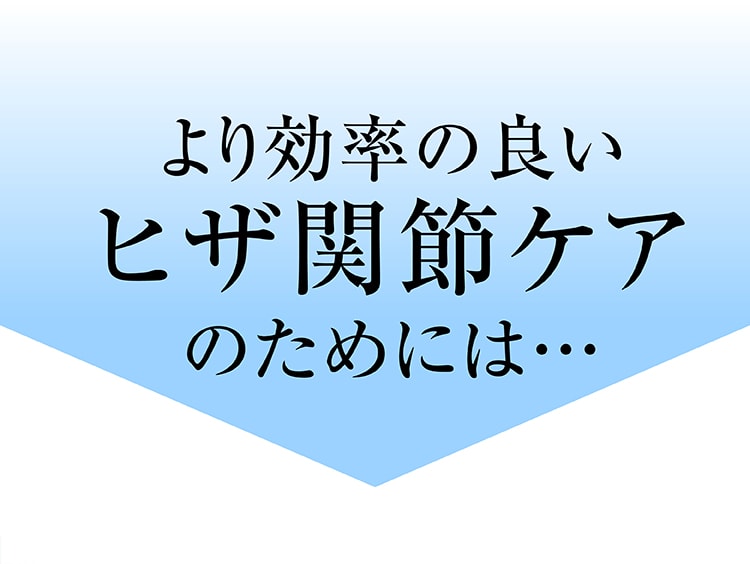 ヒザ潤滑源 体験キャンペーン実施中